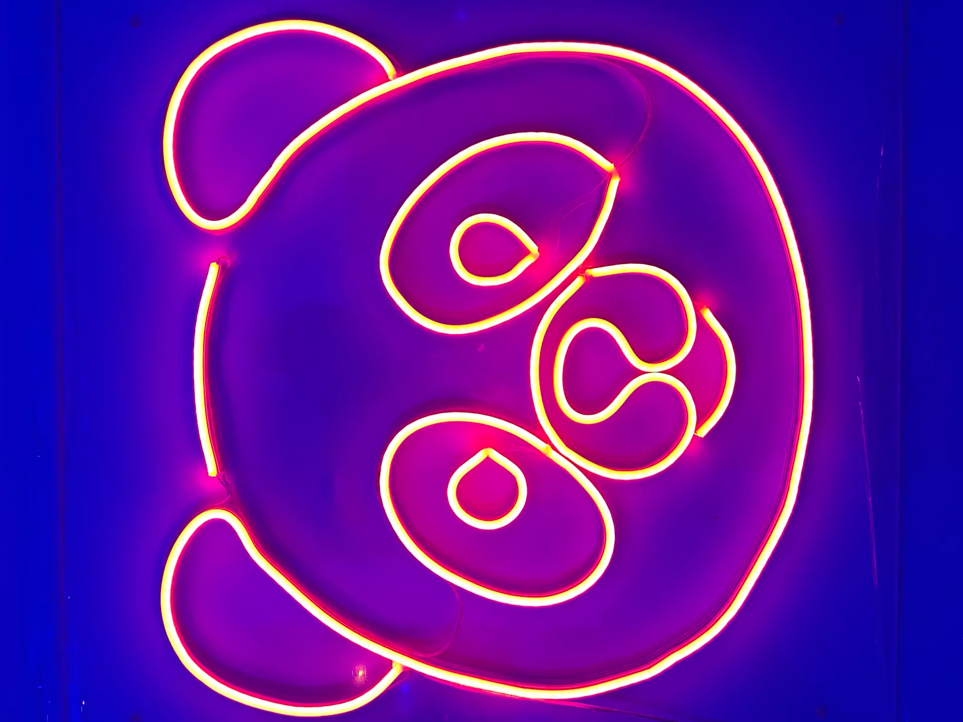 Quinto Quarto biancazzurro con Panadarei