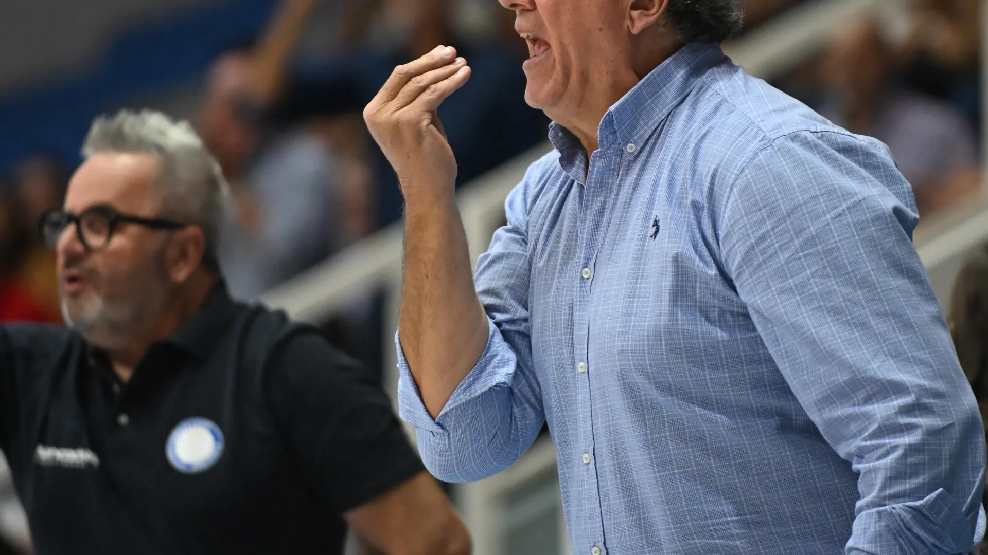 Galleria immagine 10