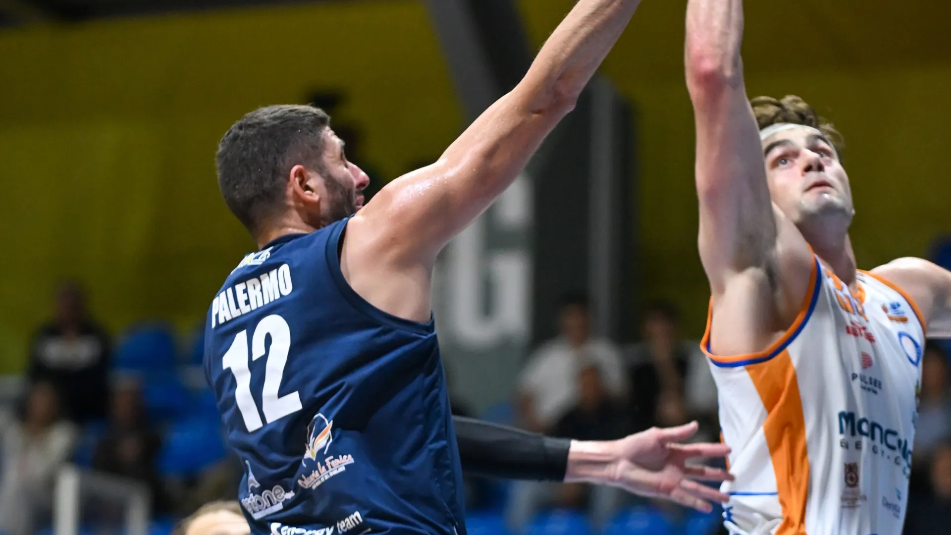 Galleria immagine 13