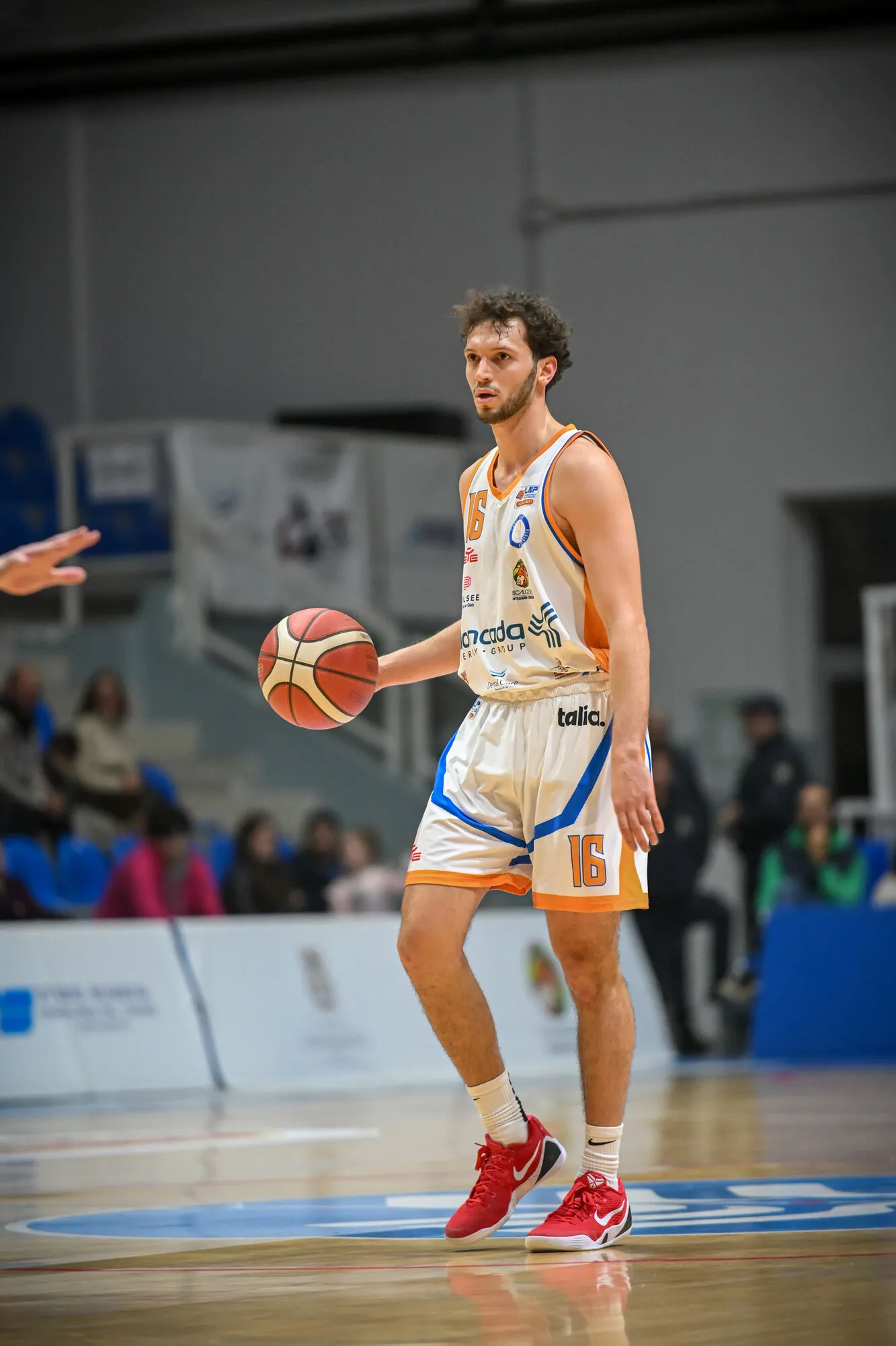 Galleria immagine 13